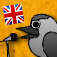 Carton Tongue Twisters. Learn the English language, improve diction, speaking skills, practice pronunciation, speak correctly, public speaker coach