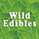 Wild Edibles
